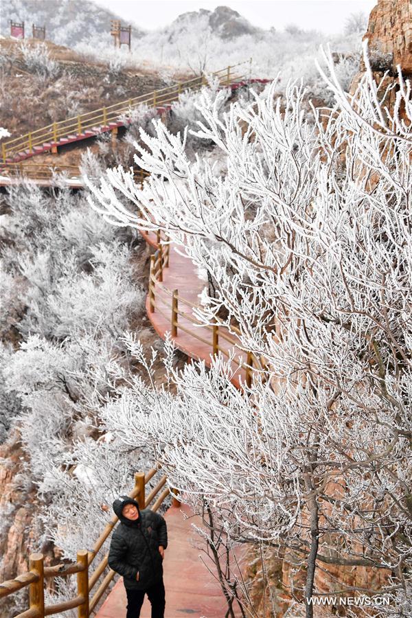 CHINA-HENAN-PINGDINGSHAN-FROST SCENERY (CN)