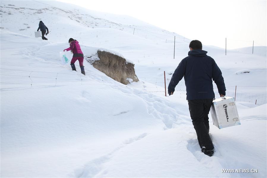 CHINA-XINJIANG-SCIENCE-RESEARCH-SNOW (CN)