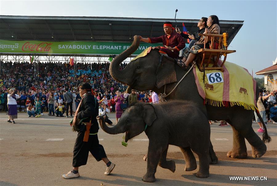 LAOS-SAYABULY-ELEPHANT FESTIVAL