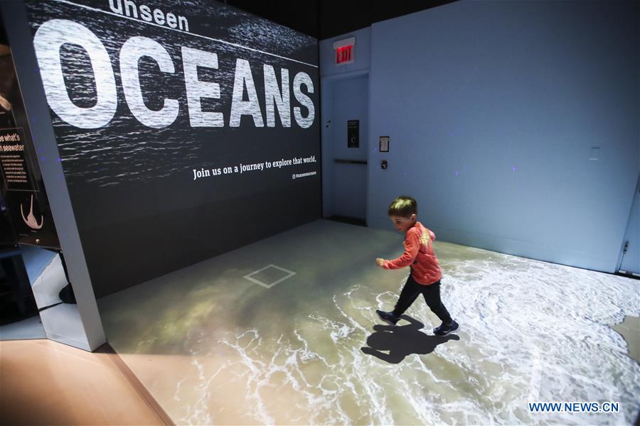 U.S.-NEW YORK-UNSEEN OCEANS-EXHIBITION