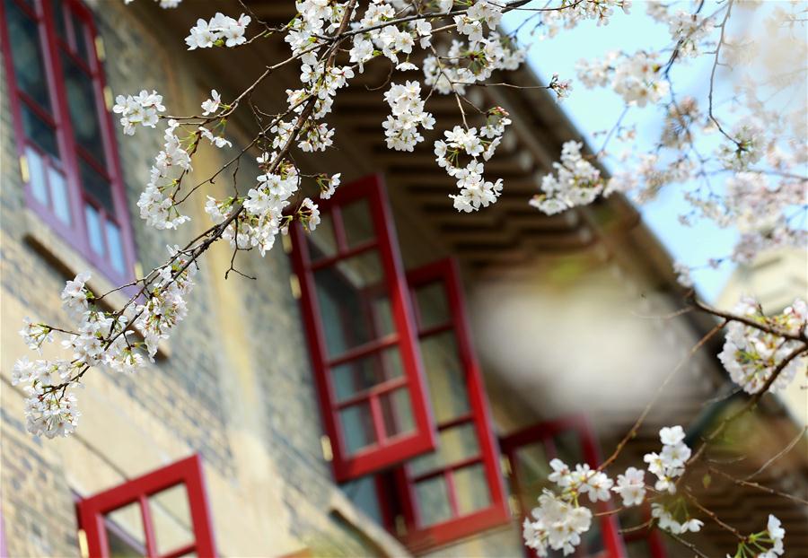 #CHINA-SPRING SCENERY (CN)