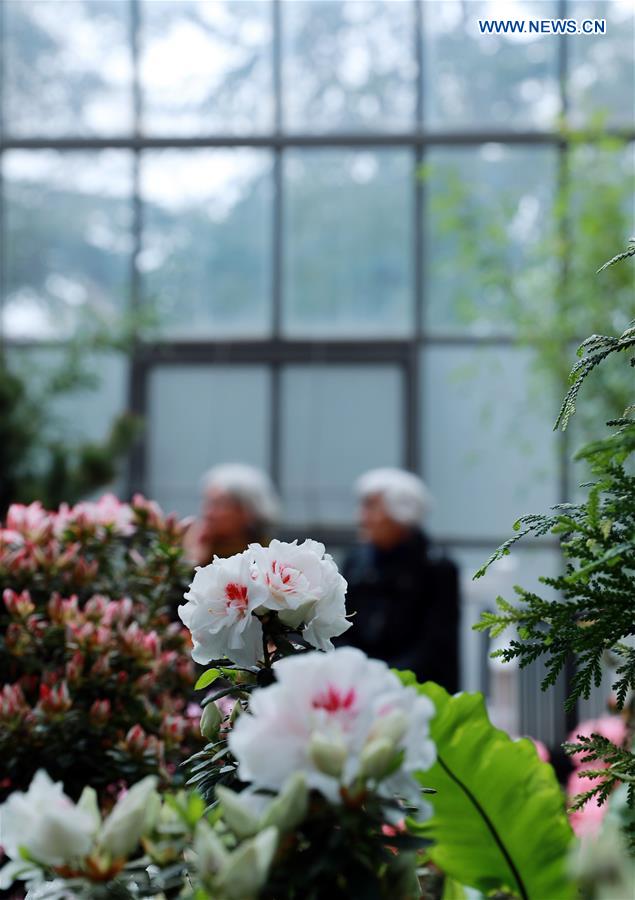 GERMANY-FRANKFURT-FLOWER EXHIBITION