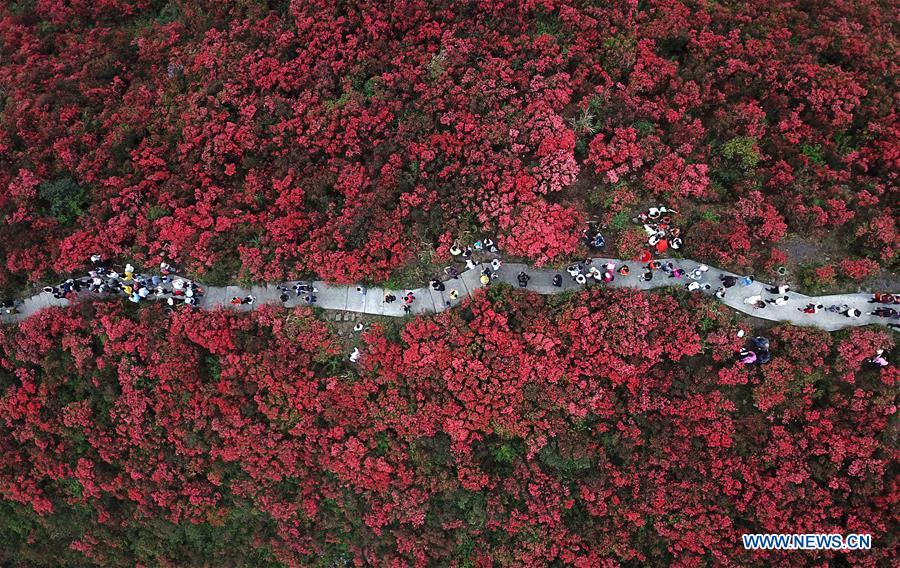 #CHINA-SPRING-FLOWERS (CN)