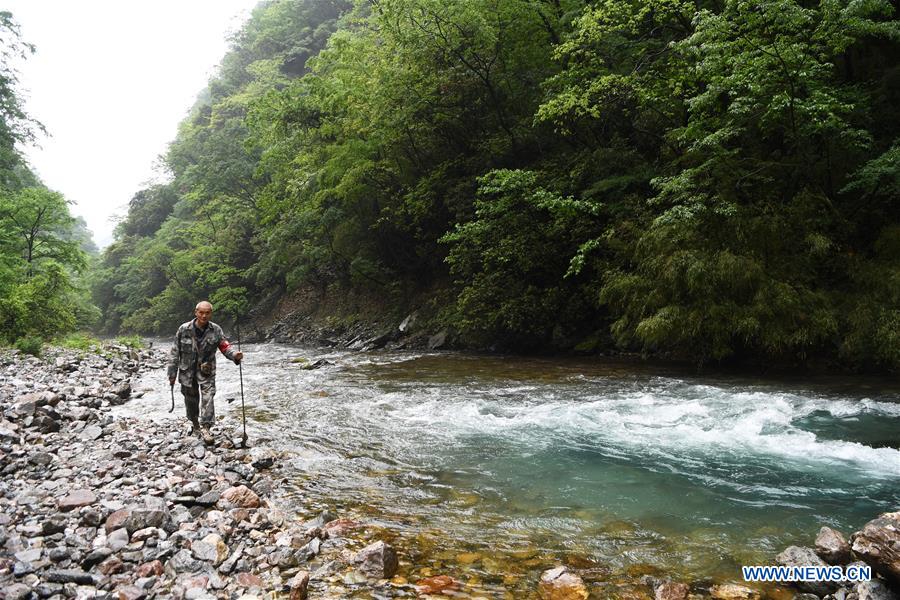 CHINA-CHONGQING-WUXI-FOREST-PROTECTION-RANGER (CN) 