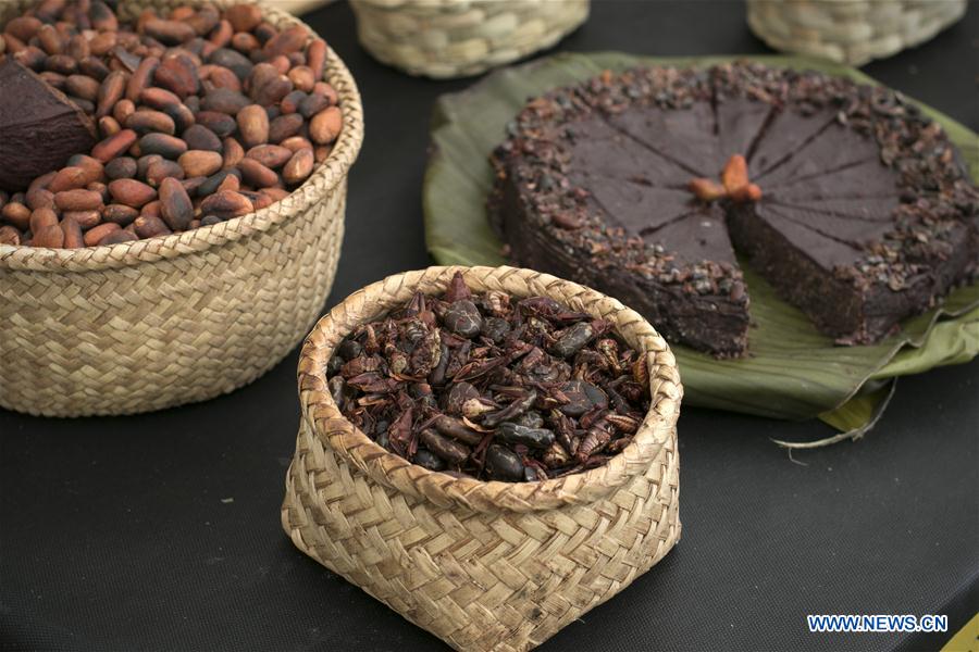 MEXICO-MEXICO CITY-CHOCOLATE AND COCOA FESTIVAL