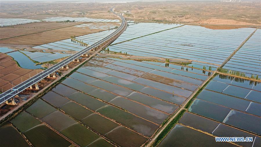 CHINA-YINCHUAN-PADDY FIELD (CN)