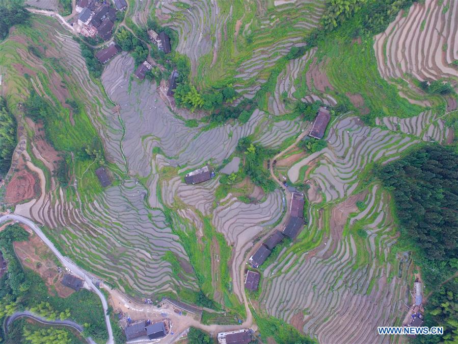 #CHINA-HUNAN-LOUDI-TERRACED FIELDS (CN*)