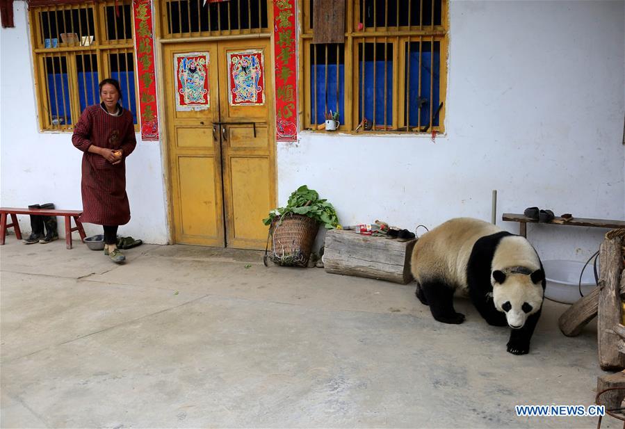 XINHUA PHOTO WEEKLY CHOICES