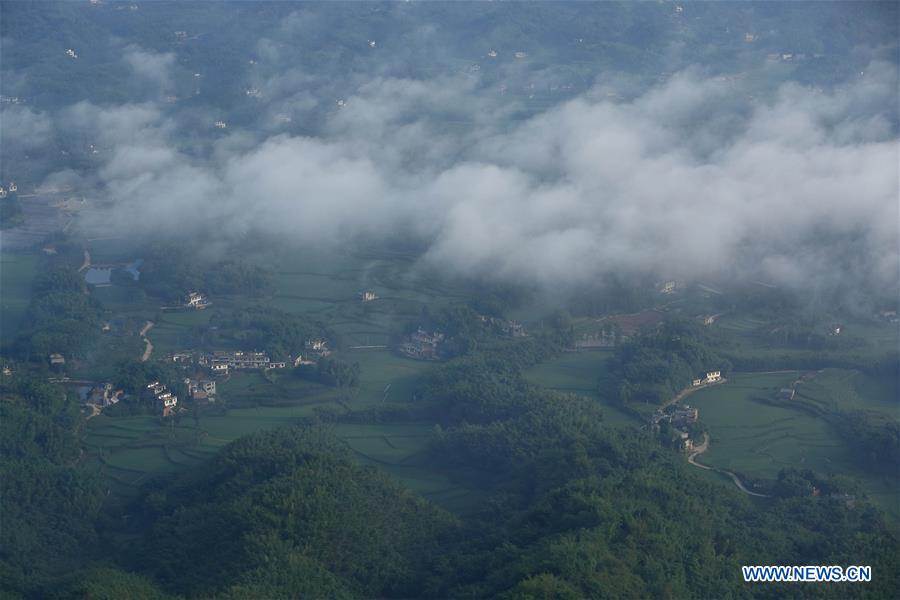 CHINA-SICHUAN-CHANGNING-BAMBOO FORESTS-CLOUDS (CN)