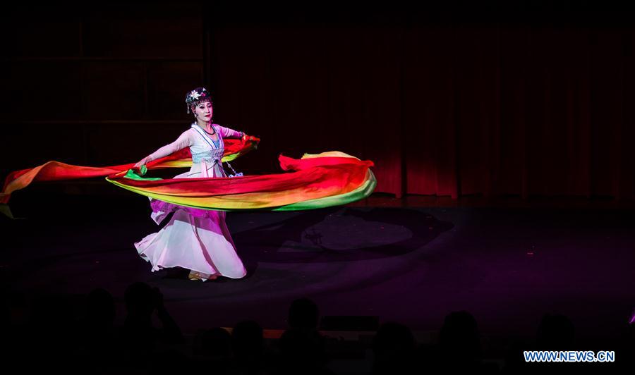 ITALY-ROME-CHINESE TRADITIONAL ARTS-SHOW