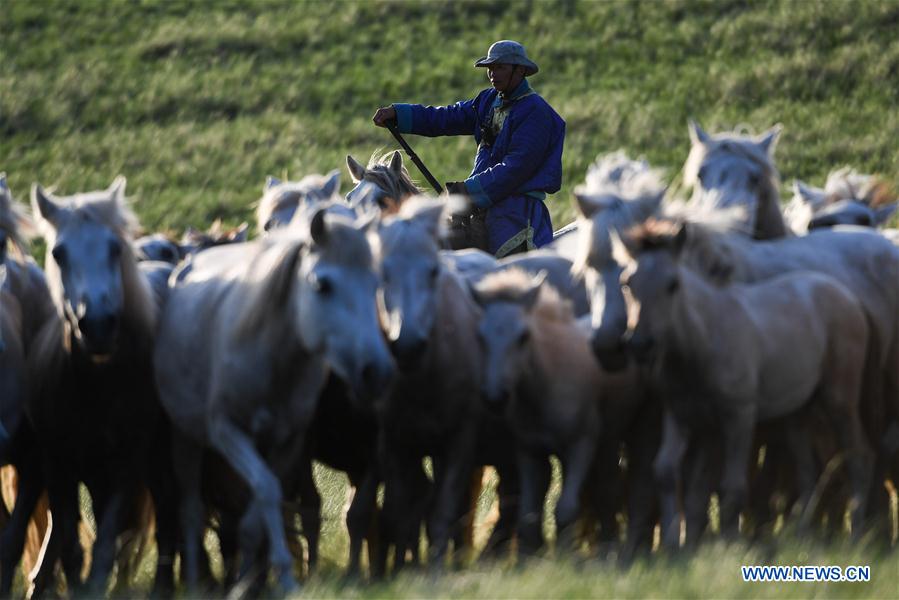 CHINA-INNER MONGOLIA-XILIN GOL-HORSE-SCENERY (CN)