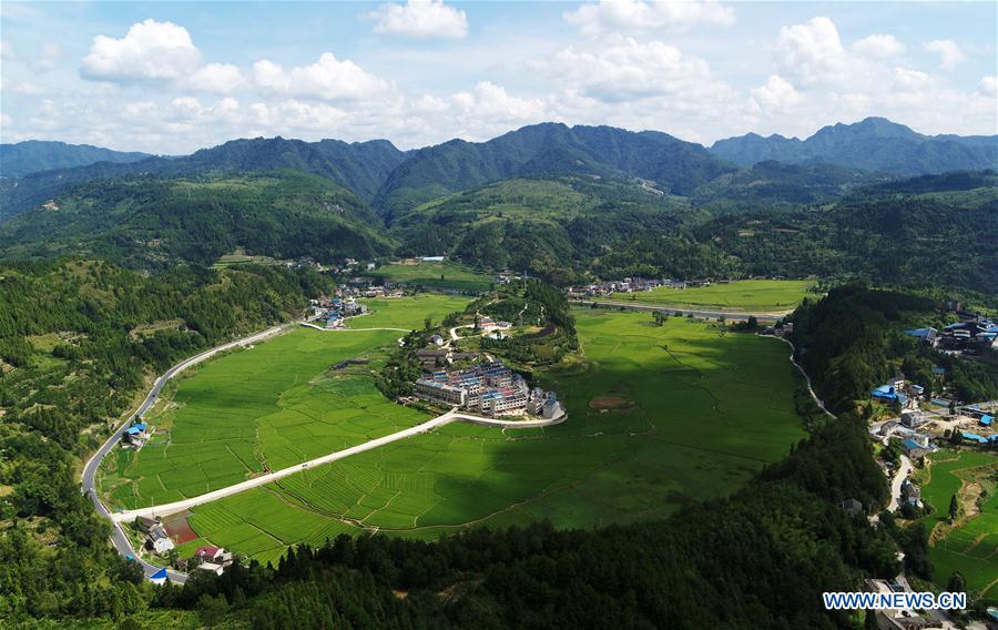 #CHINA-GUIZHOU-CENGONG-AGRICULTURE-RICE (CN)*