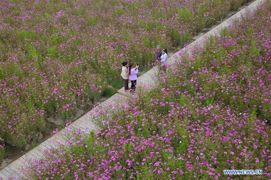 CHINA-GANSU-ZHANGYE-RURAL TOURISM-DEVELOPMENT (CN)