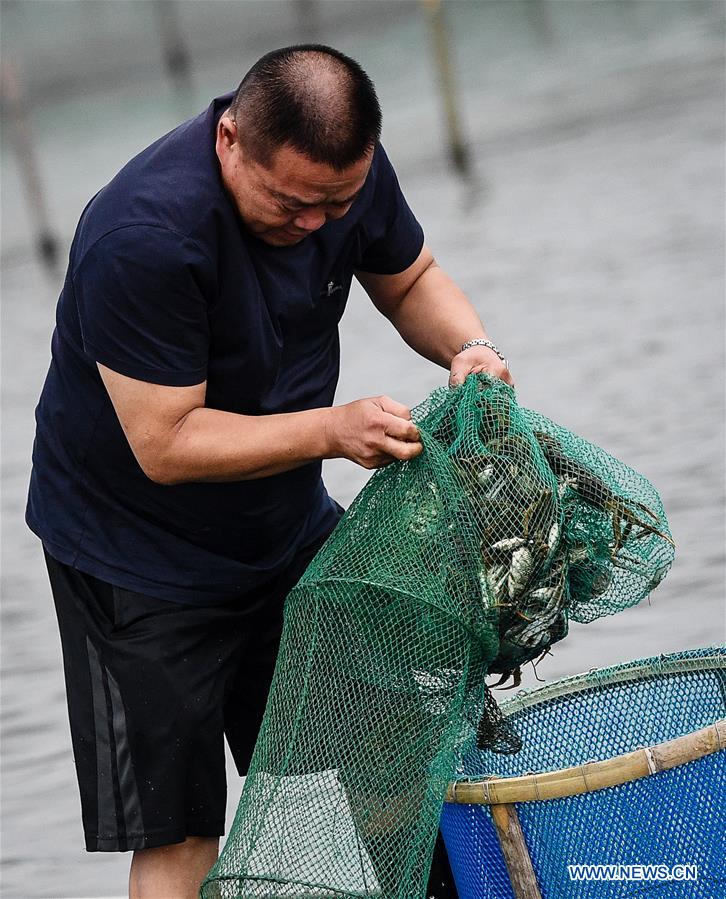 CHINA-JIANGSU-CRAB-HARVEST (CN)