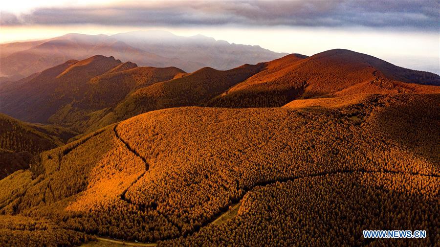 CHINA-SHANXI-QINYUAN-ENVIRONMENT-FOREST (CN)