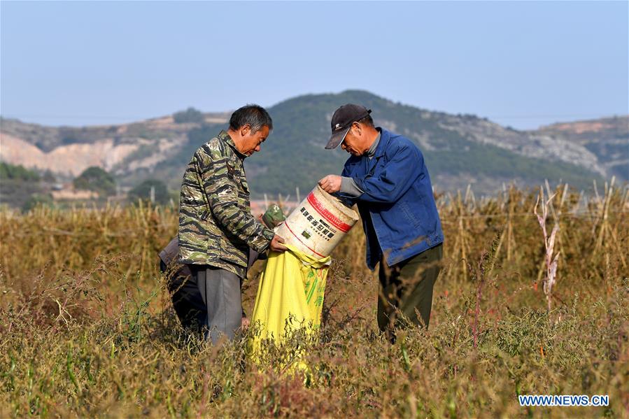 CHINA-SHANXI-POVERTY ALLEVIATION (CN)