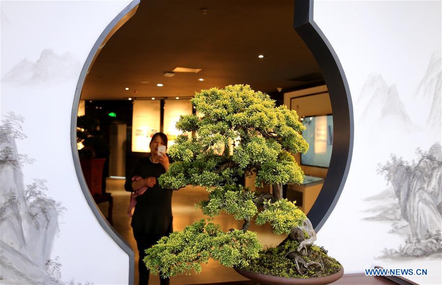 #CHINA-JIANGSU-RUGAO-BONSAI TREE MUSEUM (CN)