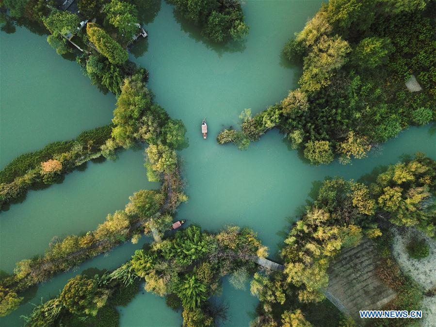 CHINA-HANGZHOU-XIXI WETLAND-AUTUMN SCENERY (CN)