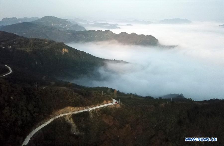 CHINA-GUIZHOU-TONGREN-ADVECTION FOG (CN)