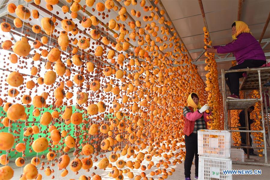 #CHINA-SHANDONG-LINYI-PERSIMMON (CN) 