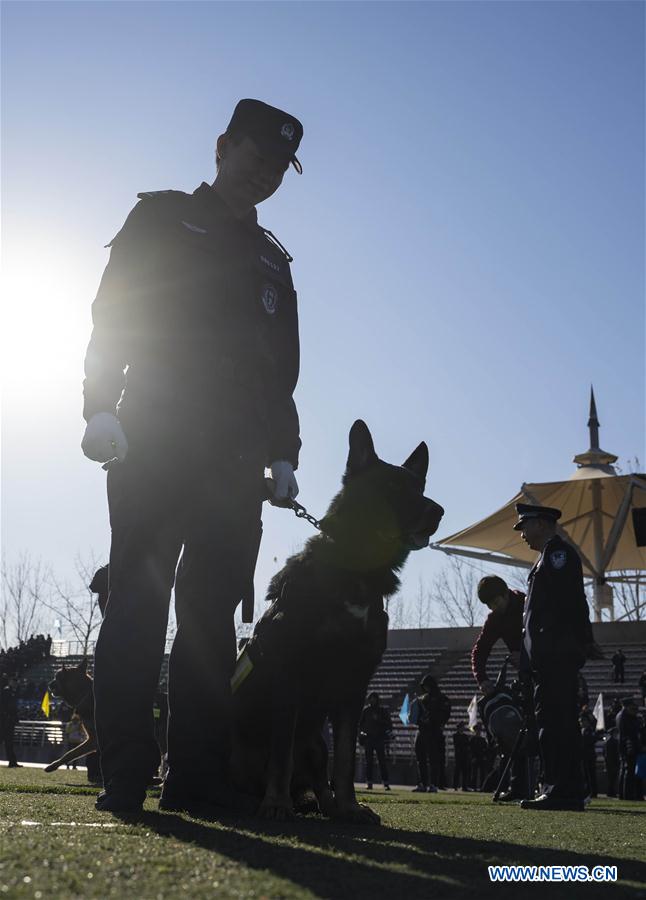 CHINA-BEIJING-POLICE DOG-SKILL COMPETITION (CN)