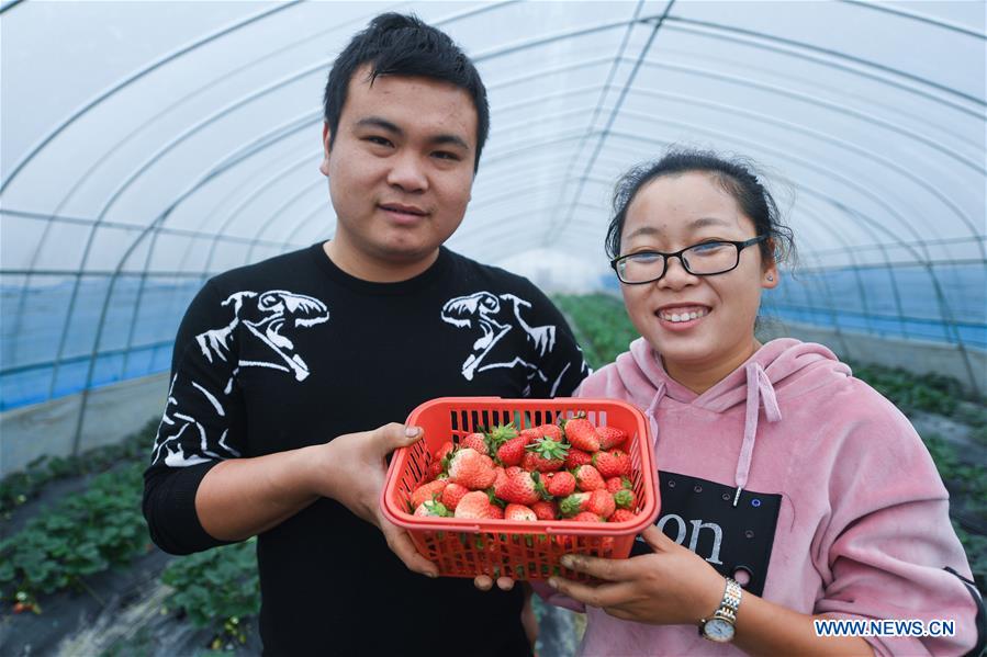 CHINA-ZHEJIANG-DONGLIN-ECOLOGICAL AGRICULTURE (CN)