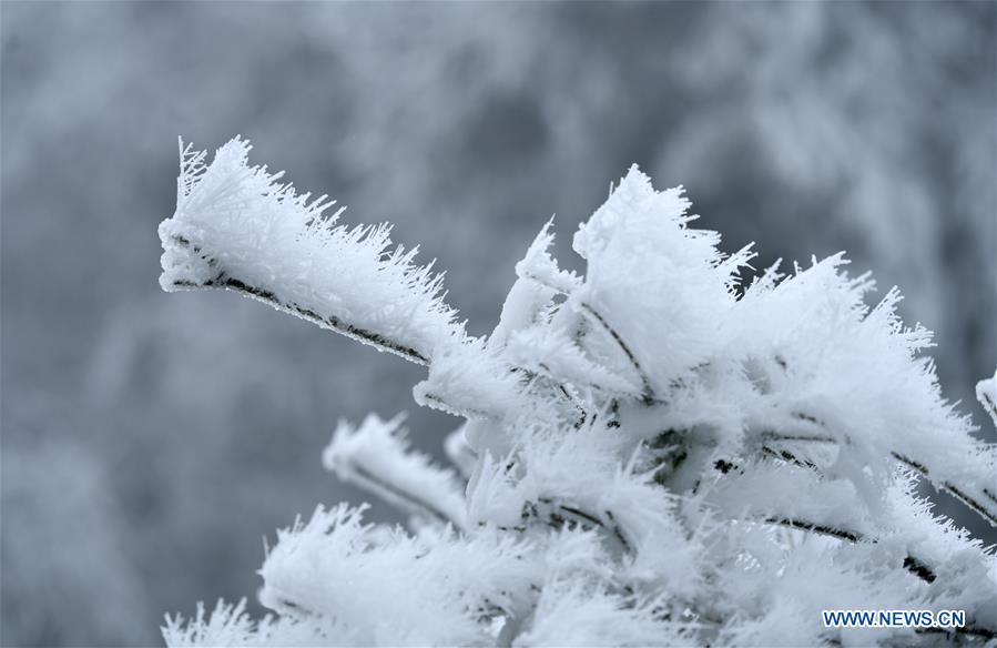 #CHINA-WINTER-RIME (CN)