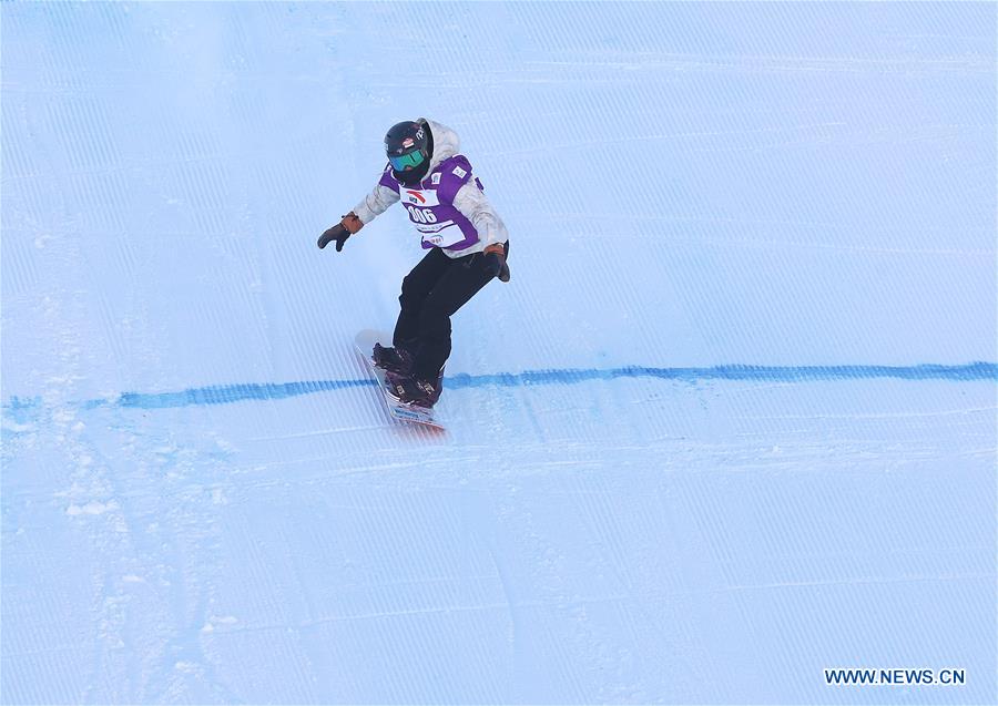 (SP)CHINA-CHONGLI-FIS SNOWBOARD WORLD CUP