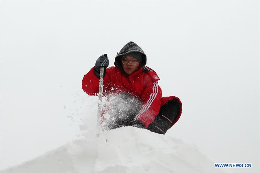 CHINA-HARBIN-SNOW SCULPTURE (CN)