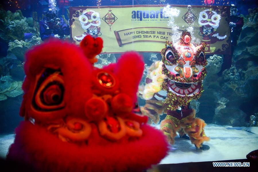 MALAYSIA-KUALA LUMPUR-UNDERWATER LION DANCE