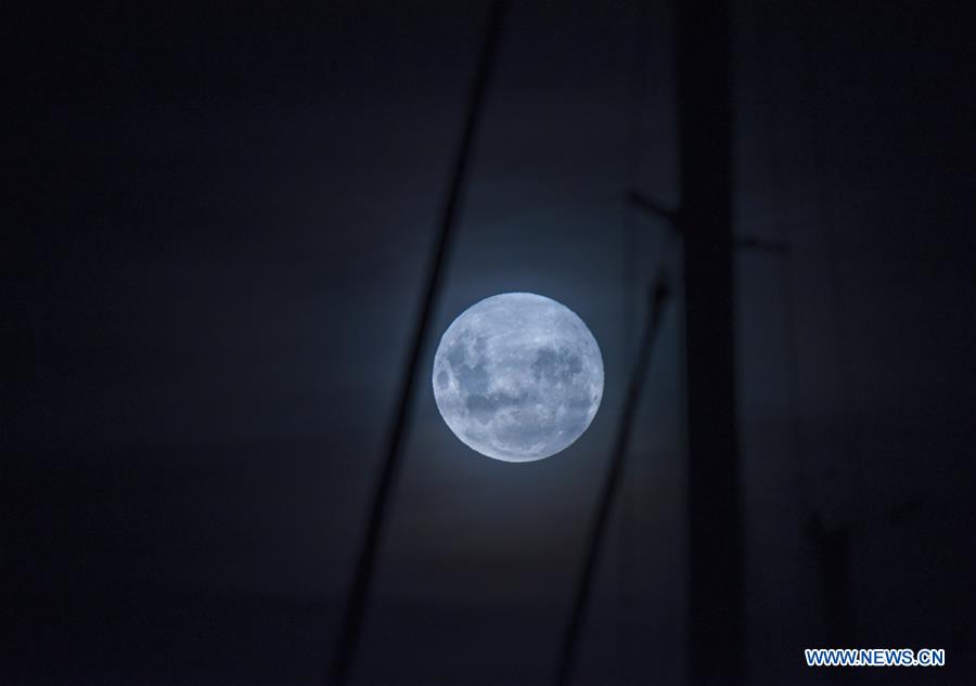 NEW ZEALAND-WELLINGTON-FULL MOON