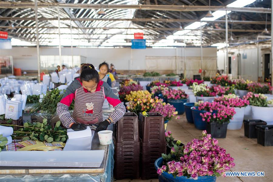 CHINA-YUNNAN-THAILAND-BANGKOK-FLOWER TRADE