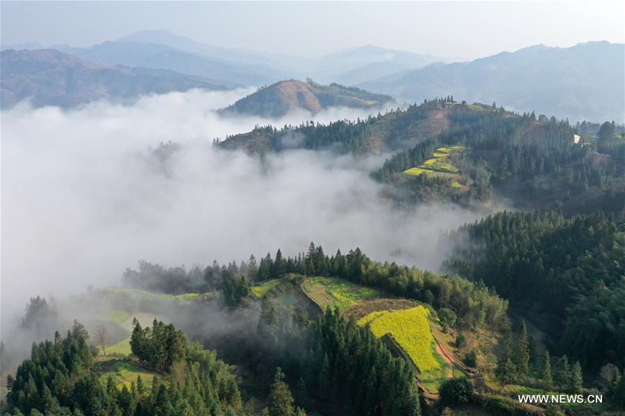 CHINA-SANJIANG-SCENERY-MIST (CN)