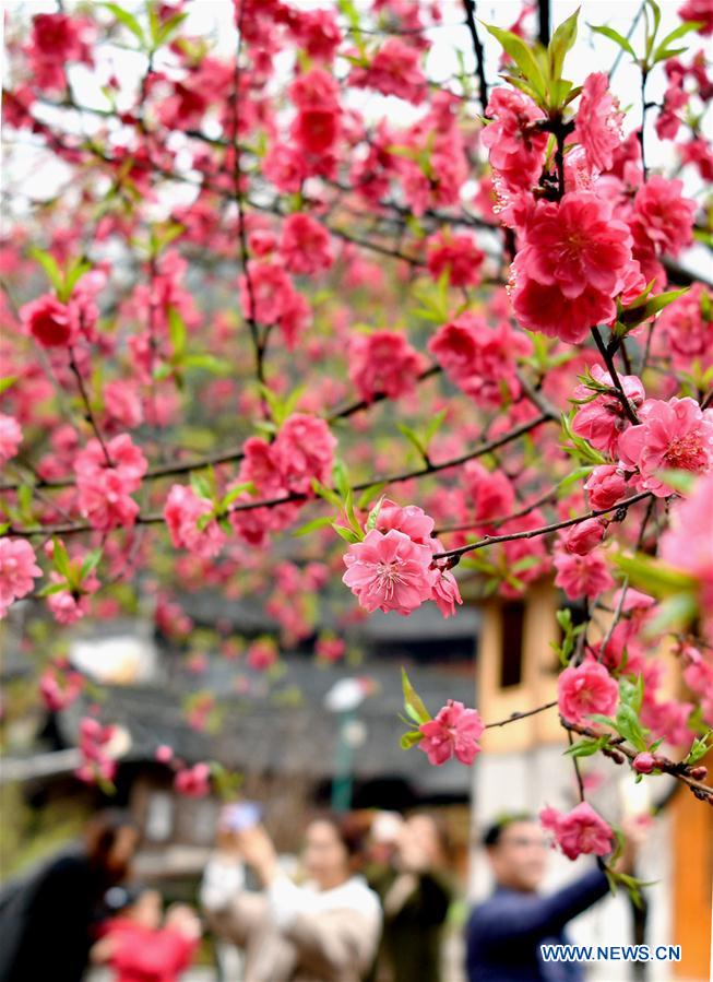 # CHINA-SPRING-SCENERY (CN)