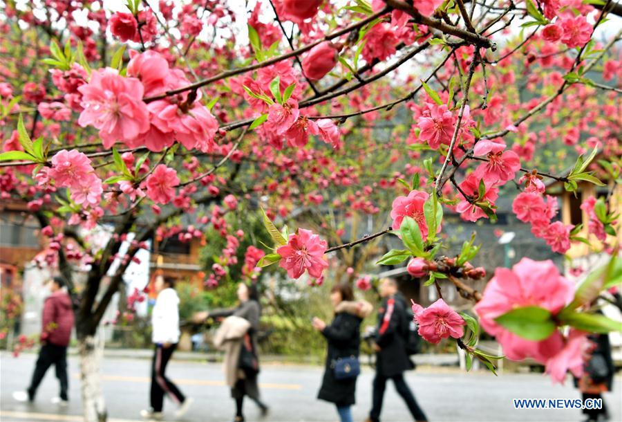 # CHINA-SPRING-SCENERY (CN)