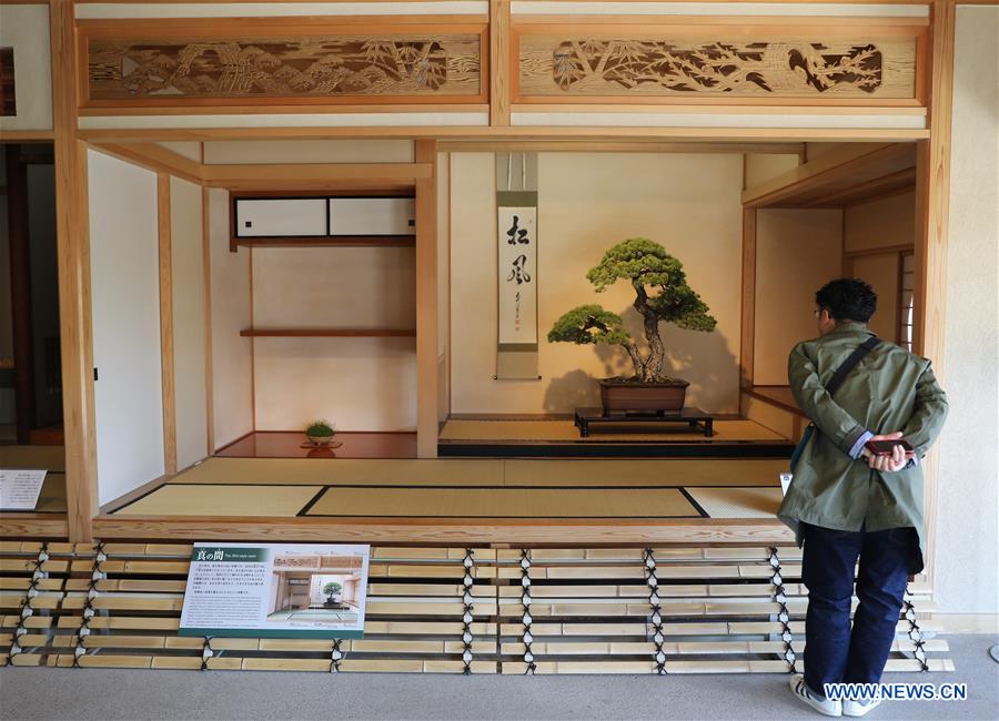 JAPAN-SAITAMA-BONSAI ART MUSEUM