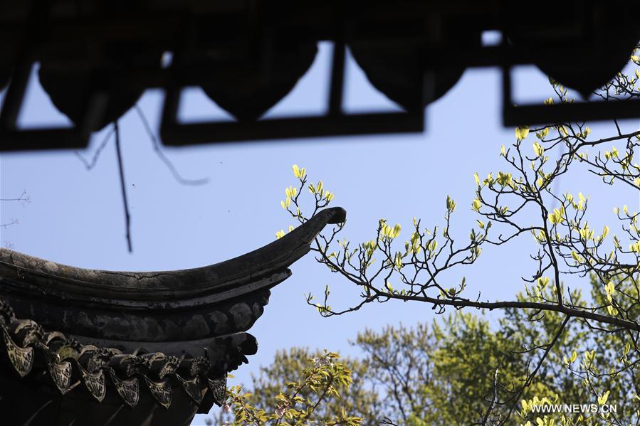 U.S.-NEW YORK-CHINESE SCHOLAR'S GARDEN-SPRING SCENERY