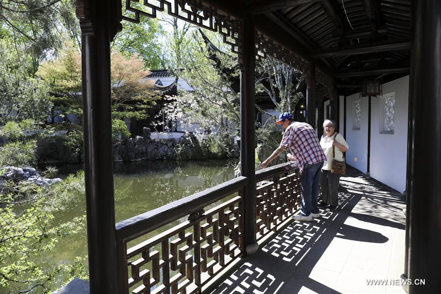 U.S.-NEW YORK-CHINESE SCHOLAR'S GARDEN-SPRING SCENERY