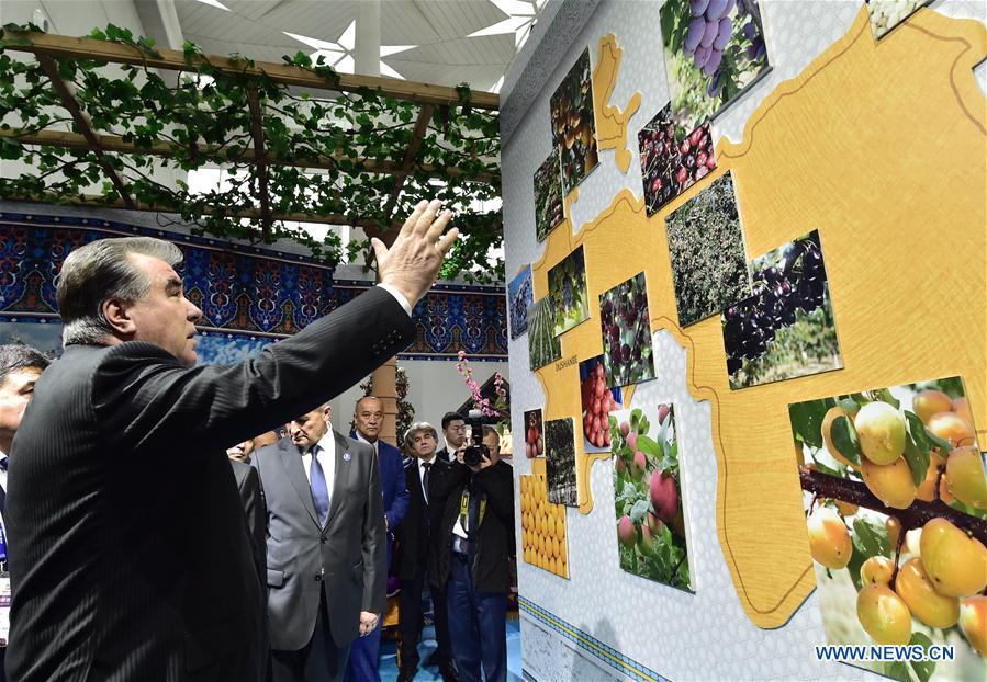 (EXPO 2019)CHINA-BEIJING-HORTICULTURAL EXPO-TAJIK PRESIDENT-VISIT (CN)