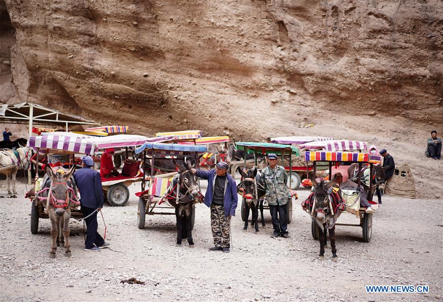 CHINA-GANSU-JINGTAI-DONKEY RIDE-BUSINESS (CN)