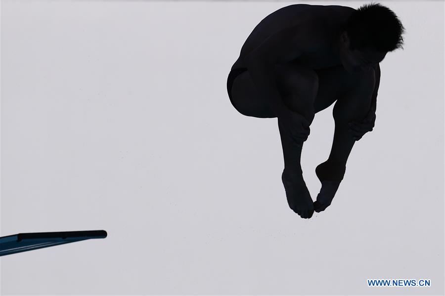 (SP)ITALY-NAPLES-SUMMER UNIVERSIADE-DIVING-MEN'S 3M SPRINGBOARD