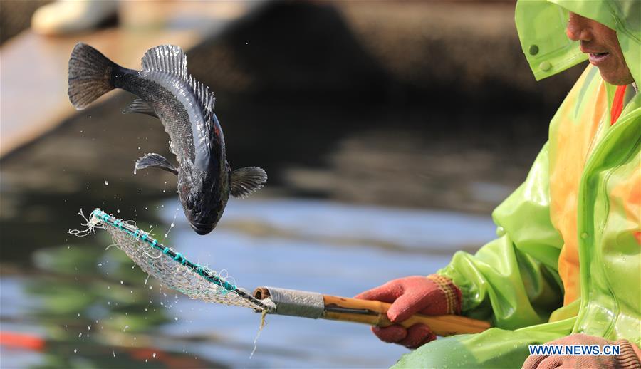 XINHUA PHOTOS OF THE DAY