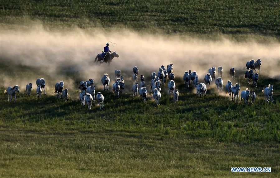 CHINA-INNER MONGOLIA-HORSE LASSOING (CN)