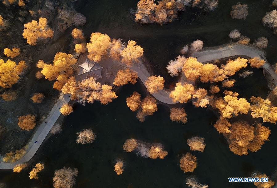 CHINA-JIUQUAN-AUTUMN SCENERY (CN)