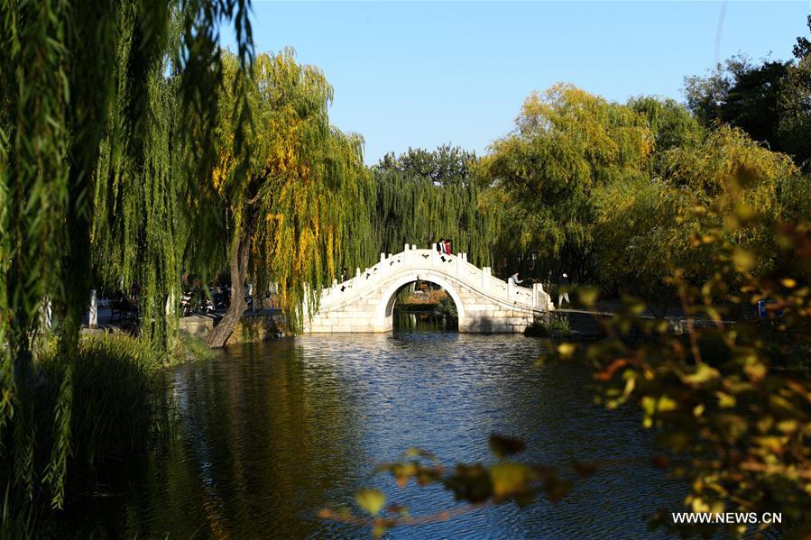 CHINA-BEIJING-TSINGHUA UNIVERSITY-AUTUMN SCENERY (CN)