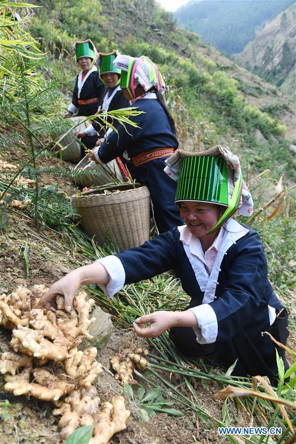 CHINA-GUANGXI-HEZHOU-YAO ETHNIC GROUP-POVERTY ALLEVIATION (CN)