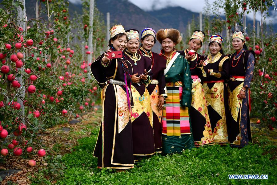 (InTibet) CHINA-TIBET-NYINGCHI-APPLE CULTIVATION PROFESSOR (CN) 