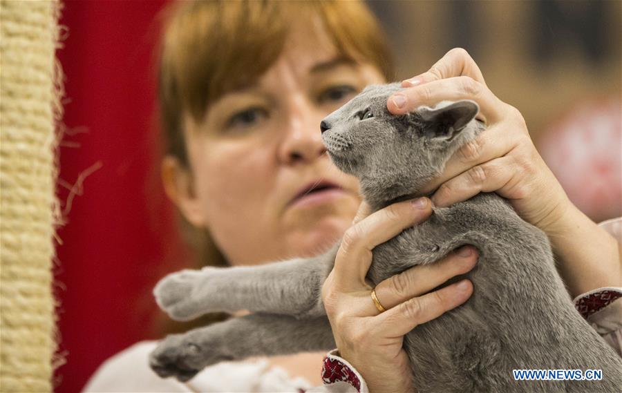 CANADA-TORONTO-CHRISTMAS PET SHOW