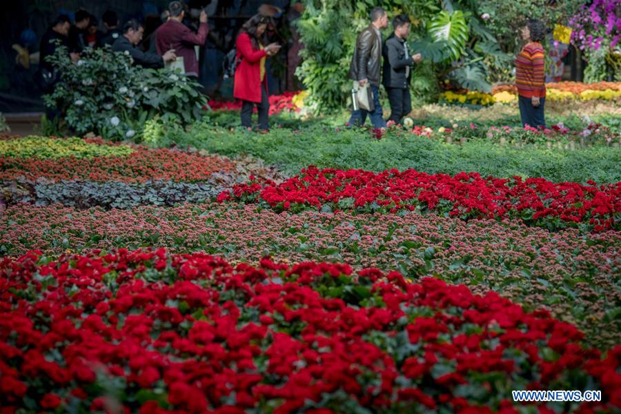 CHINA-YUNNAN-KUNMING-CITY OF FLOWERS