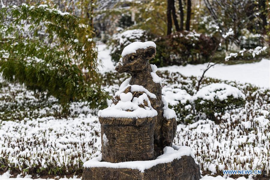 CHINA-GUIZHOU-GUIYANG-SNOW SCENERY(CN)